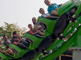Family Boomerang Rebound Обратный семейный бумеранг