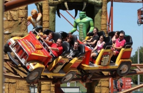 Duelling Coaster 65×26