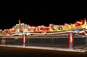 Bumper Cars Adults