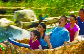 LOG FLUME