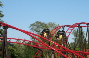 Duelling Coaster 65×26