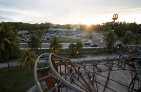 Family Safari Coaster