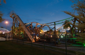 Family Safari Coaster