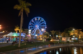 Ferris Wheel 25 