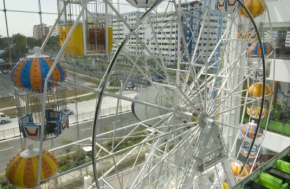 Ferris Wheel 25 