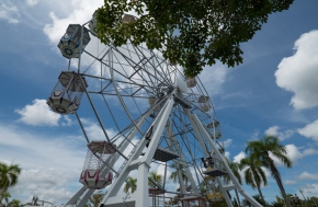 Ferris Wheel 25 