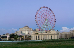 Giant Wheel 80