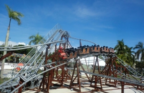 Junior Coaster 33×20