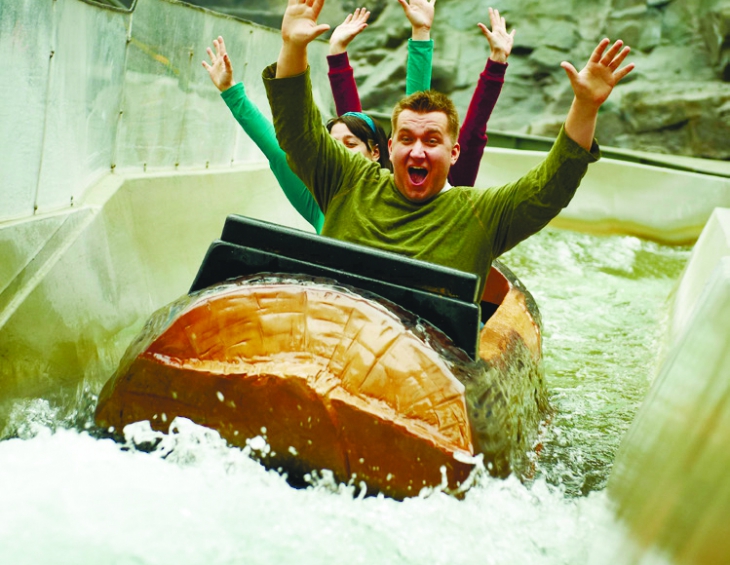 LOG FLUME