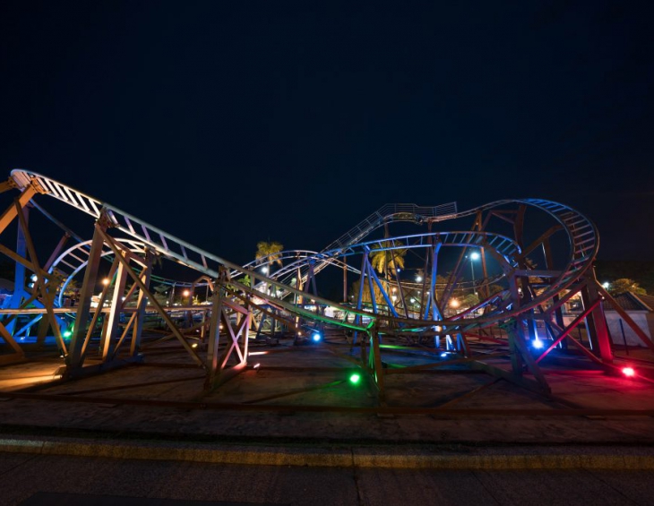 Family Safari Coaster