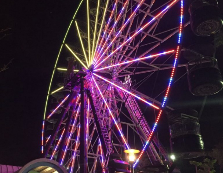 Ferris Wheel 30