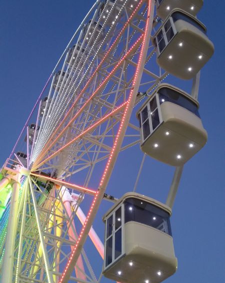 Ferris Wheel 40