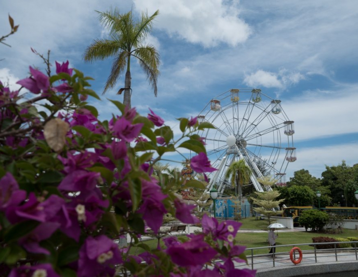 Ferris Wheel 25 