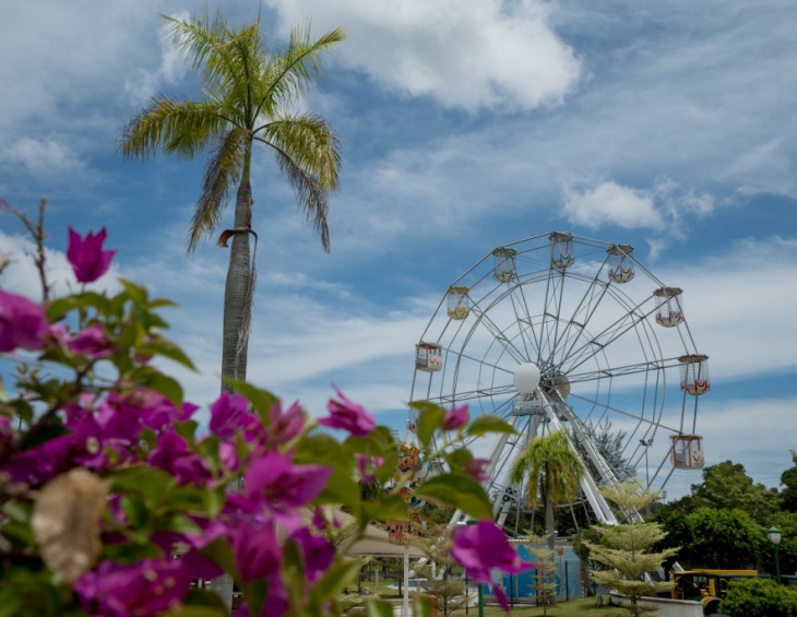 Ferris Wheel 25 