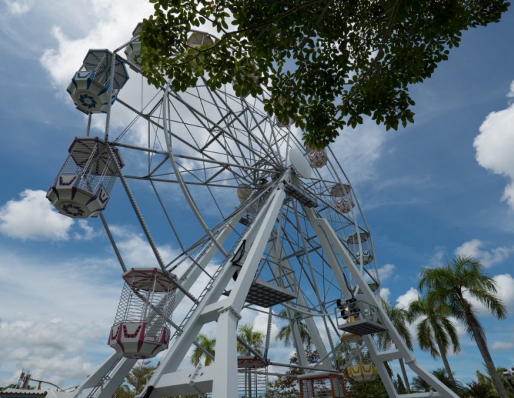 Ferris Wheel 25 