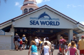 SeaWorld Australia