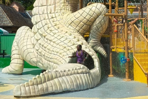 Cool Zoo, зоопарк Audubon Cool Zoo, зоопарк Audubon