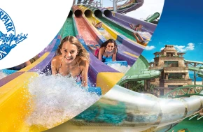Международное признание WhiteWater 